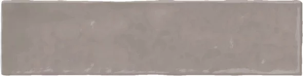 Moos Taupe Brillo 6,5x26 cm